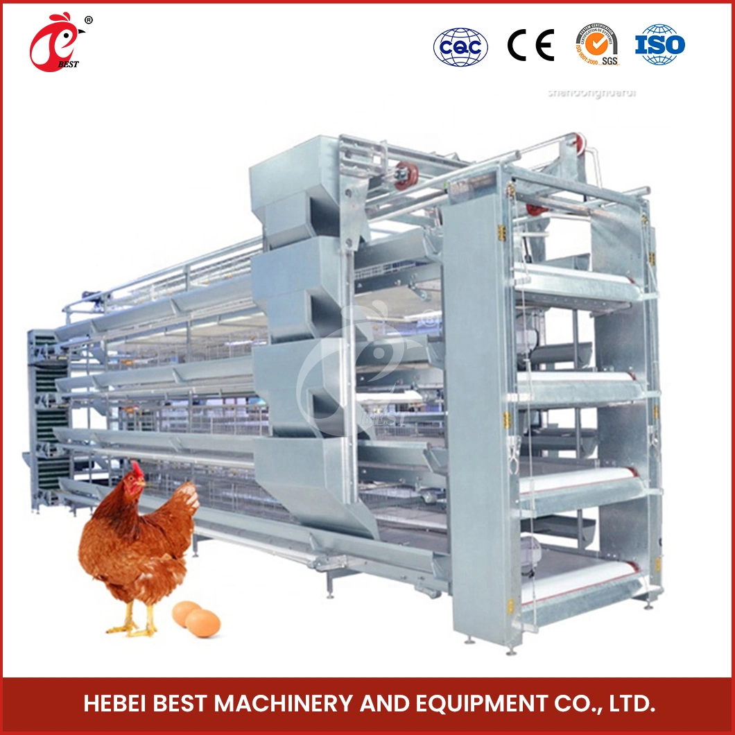 Bestchickencage H Type Breeder Cage Layer Cage China Free Range Chicken Layer Coop Supplier OEM Customized Easily Clean Layer Cages Egg Chicken Poultry Farm